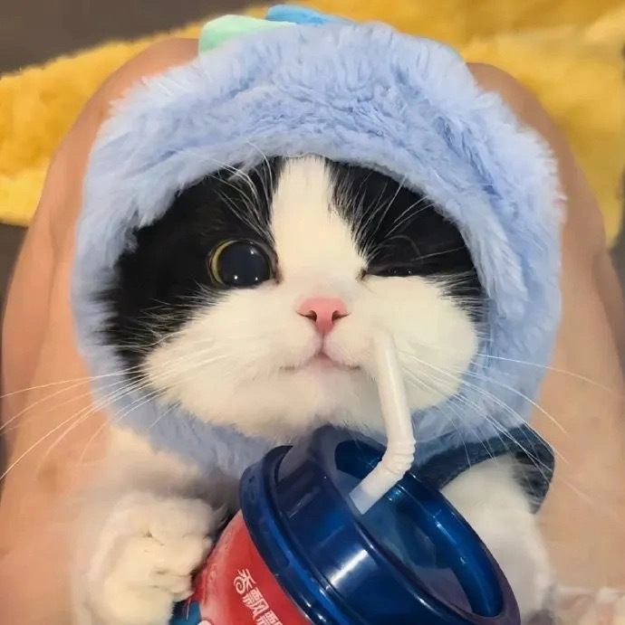 项目资源网的头像-项目资源网