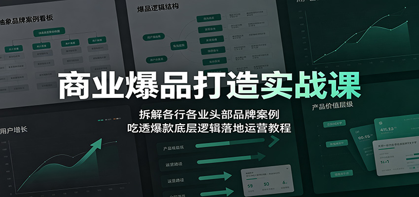 商业爆品打造实战课：拆解各行各业头部品牌案例，吃透爆款底层逻辑落地运营教程-项目资源网