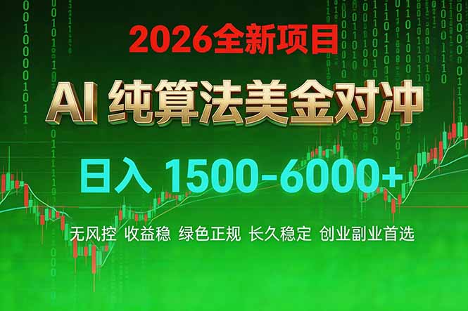 2026 全新美金对冲项目，不套平台赠金，不封号，纯算法对冲，日入 1500-6000+-项目资源网