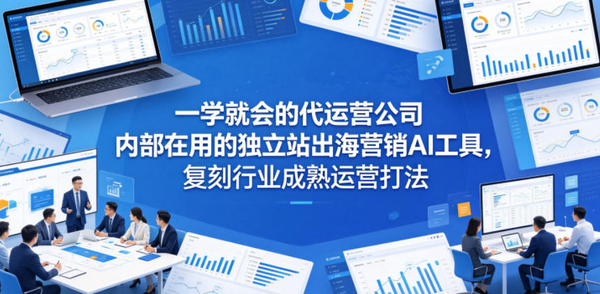 一学就会的代运营公司内部在用的独立站出海营销AI工具，复刻行业成熟运营打法-项目资源网