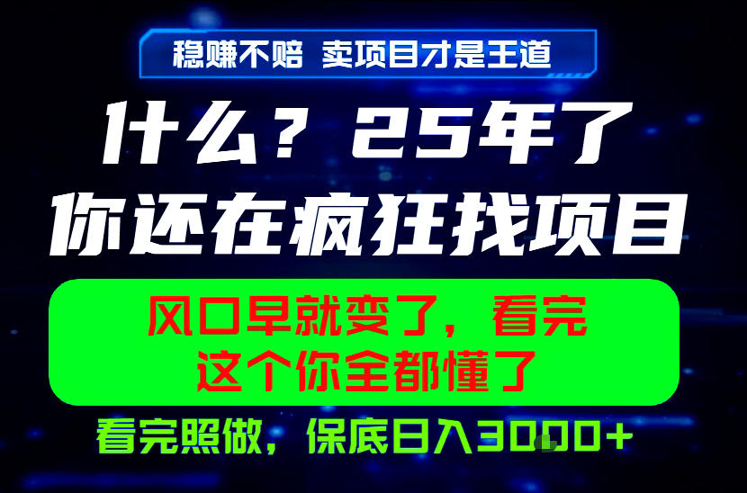 26年，请不要疯狂的找项目做了！卖项目才是真的稳賺不赔，看完照做，保底日入1k+【揭秘】-项目资源网