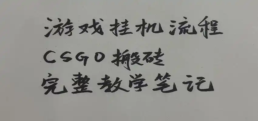 游戏挂机全流程笔记分享，CSGO游戏搬砖，小白看了当天学会见收益-项目资源网
