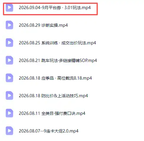 拼多多实战特训营(更新26年9月-项目资源网