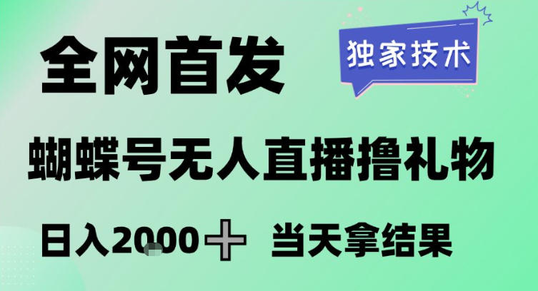 2026最新蝴蝶号无人直播掘金，独家技术，全网首发小白做了一个月收益3W，长期稳定可做【揭秘】-项目资源网