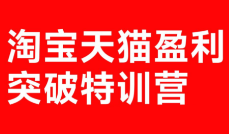 玺承·淘宝天猫盈利突破特训营(25年12月线下课)【音频+字幕】-项目资源网