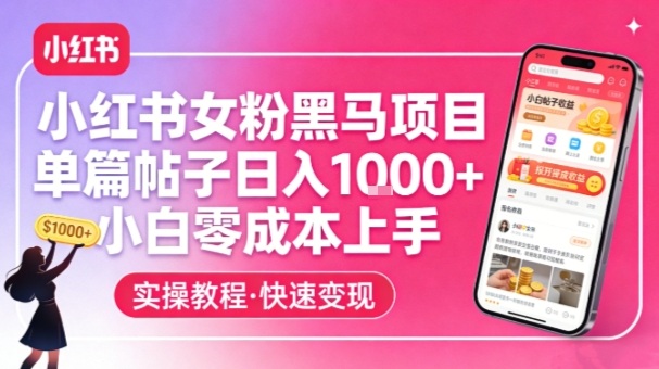 小红书女粉黑马项目，单篇帖子日入1k+，小白零成本上手-项目资源网