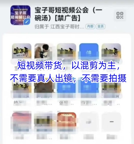 宝子哥头部团队短视频带货，以混剪为主，不需要真人出镜，不需要拍摄【更新12月】-项目资源网