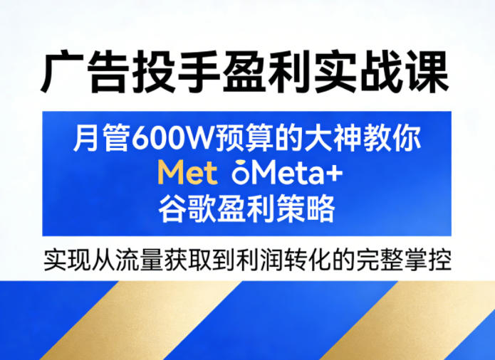 广告投手盈利实战课，月管600W预算的大神教你Meta+谷歌盈利策略，实现从流量获取到利润转化的完整掌控-项目资源网