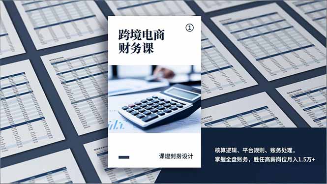 跨境电商财务课,核算逻辑、平台规则、账务处理,掌握全盘账务,胜任高薪岗位月入1.5万+-项目资源网