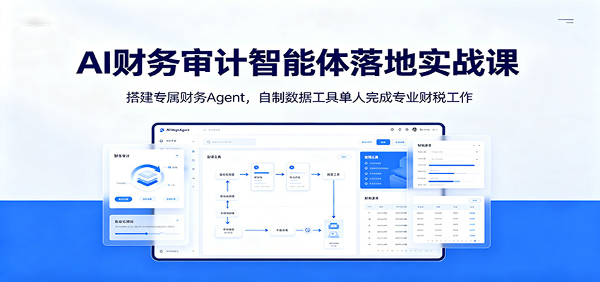 AI财务审计智能体落地实战课：搭建专属财务Agent，自制数据工具单人完成专业财税工作-项目资源网