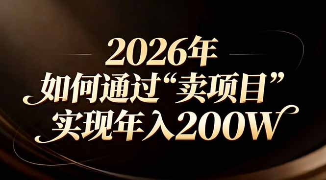 站在2026年的十字路口：一个普通人如何通过卖项目实现年入200万-项目资源网