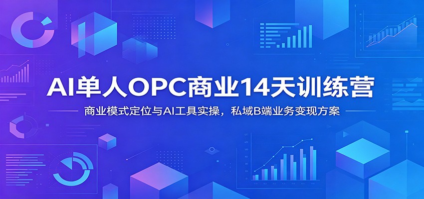 AI单人OPC商业14天训练营：商业模式定位与AI工具实操，私域B端业务变现方案-项目资源网