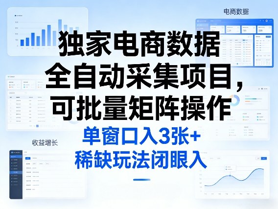 独家电商数据全自动采集项目，可批量矩阵操作，单窗口日入3张+，稀缺玩法闭眼入【揭秘】-项目资源网