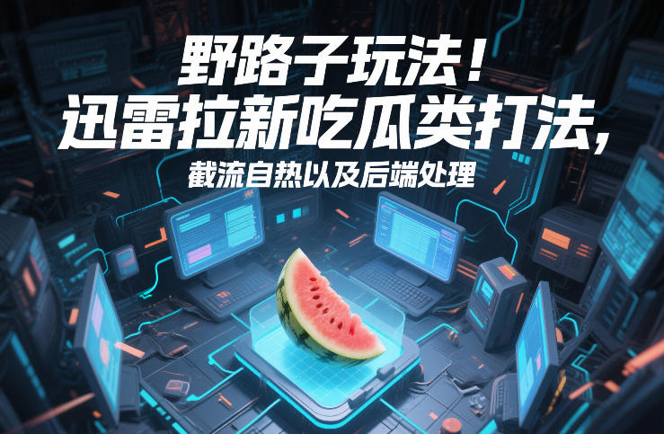 野路子玩法！迅雷拉新吃瓜类打法，截流自热以及后端处理-项目资源网