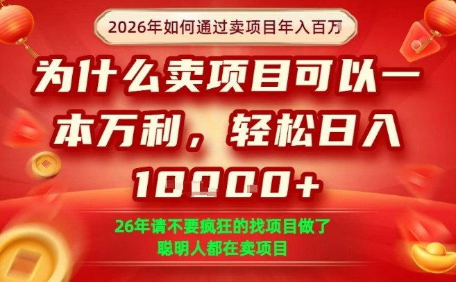 一单净利润1K+，26年想年入100个W，死磕卖项目就够了【揭秘】-项目资源网