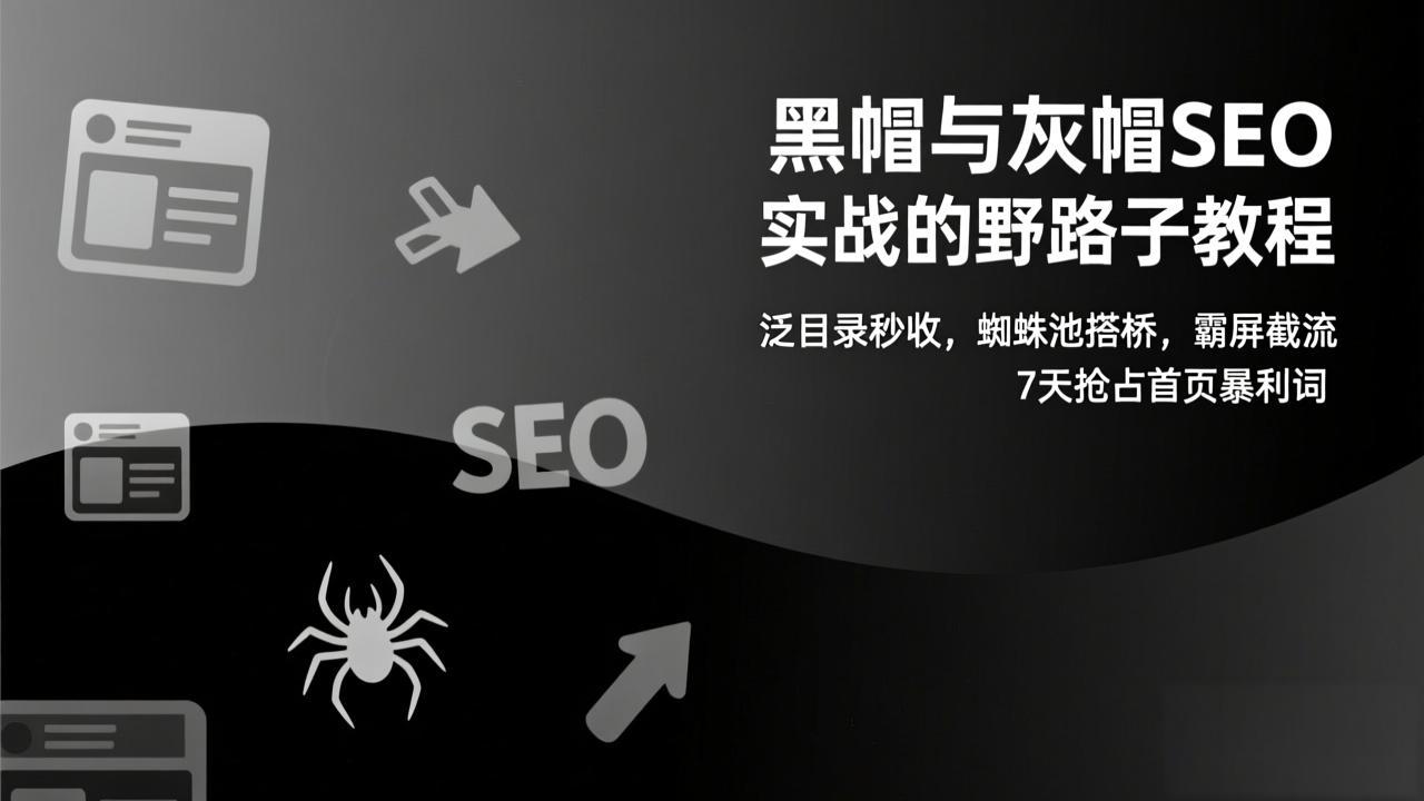 黑帽与灰帽SEO实战的野路子教程：泛目录秒收，蜘蛛池搭桥，霸屏截流，7天抢占首页暴利词-项目资源网