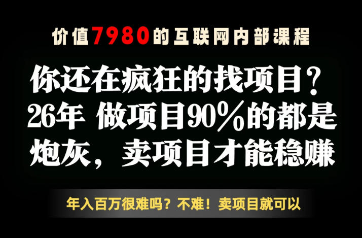 26年请不要疯狂的找项目了，卖项目远比你想象的暴利，你也可以月入10W+【揭秘】-项目资源网