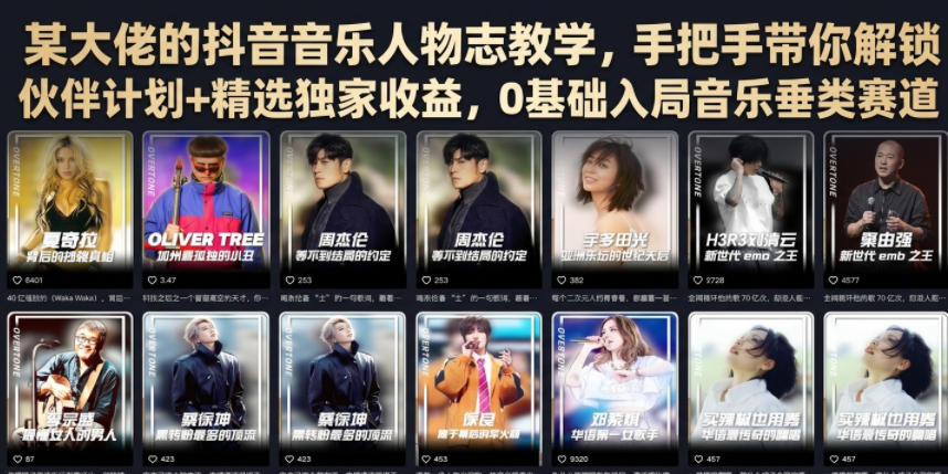 某大佬的抖音音乐人物志教学，手把手带你解锁伙伴计划+精选独家收益，0基础入局音乐垂类赛道-项目资源网