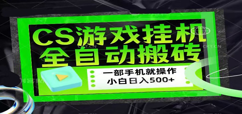 CSGO游戏挂机捡漏搬砖，超稳定的项目，带领1000+小白实现日入500+-项目资源网