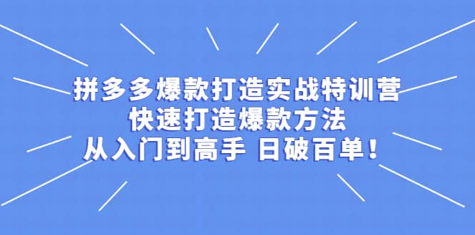 拼多多爆款打造实战特训营：快速打造爆款方法，从入门到高手 日破百单-项目资源网