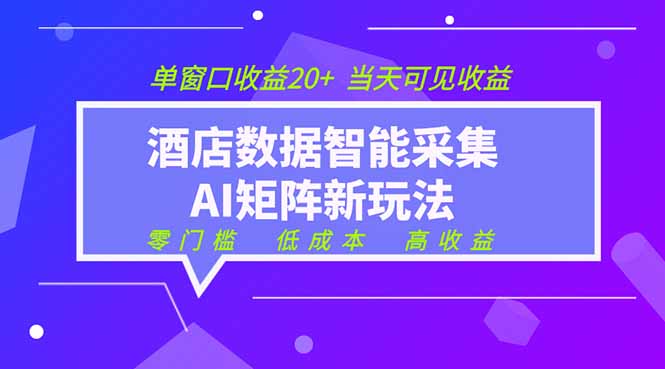 2026酒店数据采集ai智能矩阵新风口 低成本 高收益 当天见收益 单窗口20+-项目资源网