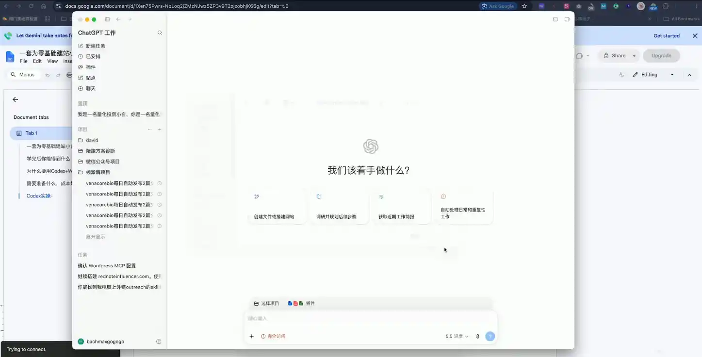 大卫·外贸人Codex + WordPress建站课(更新8月)-项目资源网