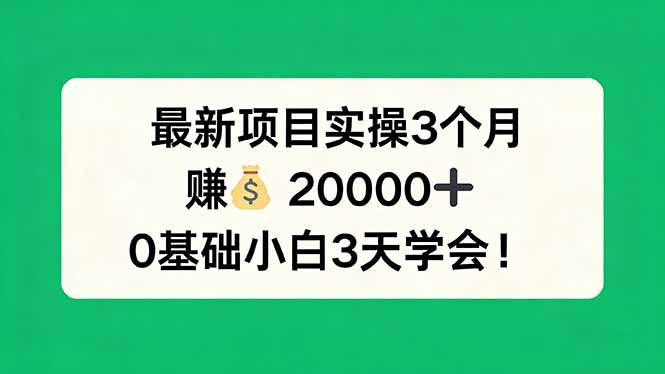 最新项目实操3个月，赚钱20000+，0基础小白3天学会！-项目资源网
