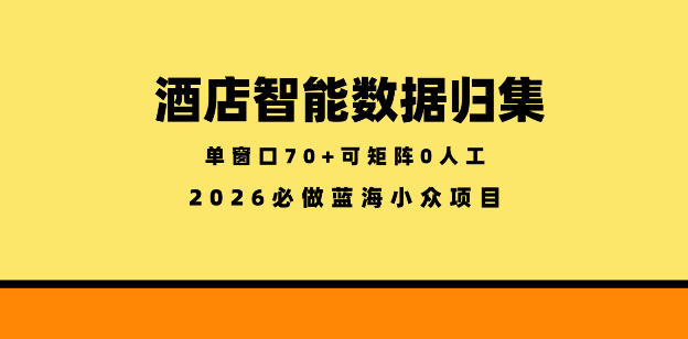 酒店智能数据归集,小众蓝海已经稳定半年之久,单窗口70+零成本矩阵开干【揭秘】-项目资源网
