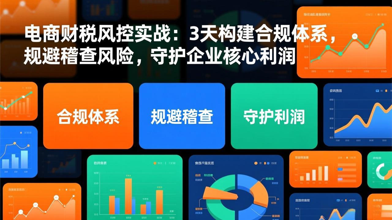 电商财税风控实战:3天构建合规体系,规避稽查风险,守护企业核心利润-项目资源网