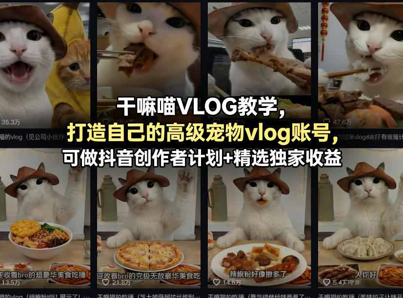 干嘛喵VLOG教学，打造自己的高级宠物vlog账号，可做抖音创作者计划+精选独家收益-项目资源网