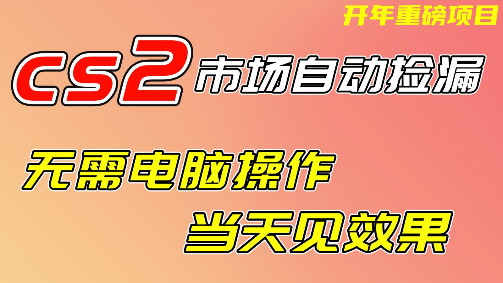 CS2市场挂机项，无需电脑操作，无需进入游戏，当天见效果，支持任何形式验证-项目资源网