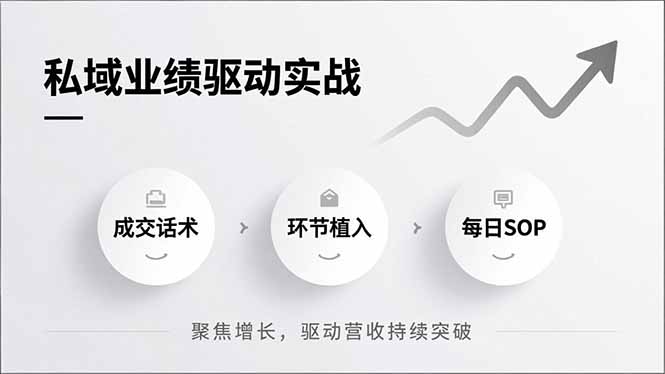 私域业绩驱动实战，成交话术、环节植入、每日SOP，聚焦增长，驱动营收持续突破-项目资源网