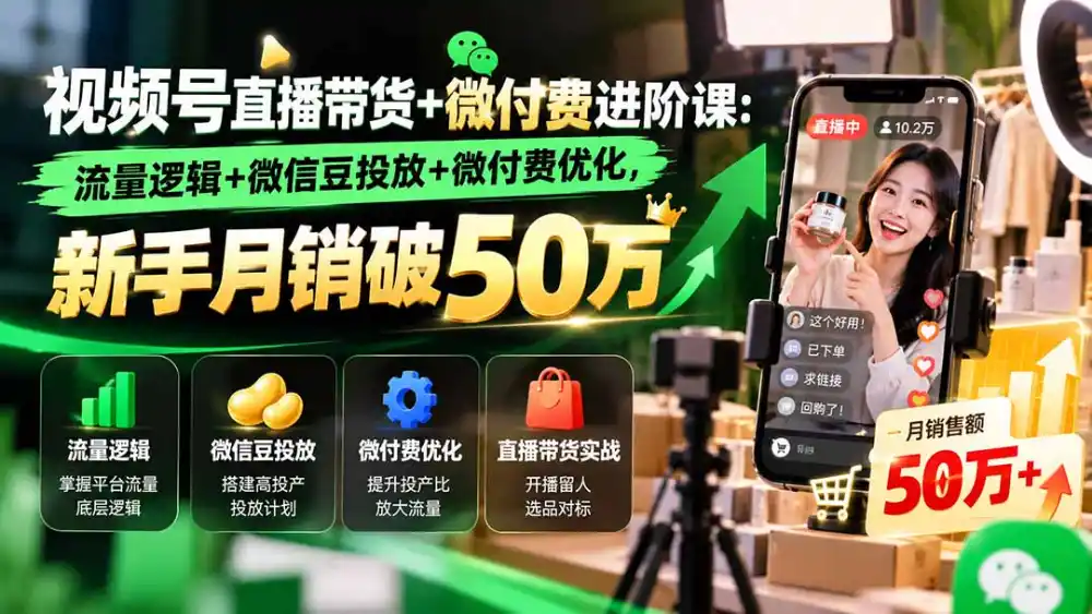 视频号直播带货+微付费进阶课-更新1010：流量逻辑+微信豆投放+微付费优化，新手月销破50万-项目资源网