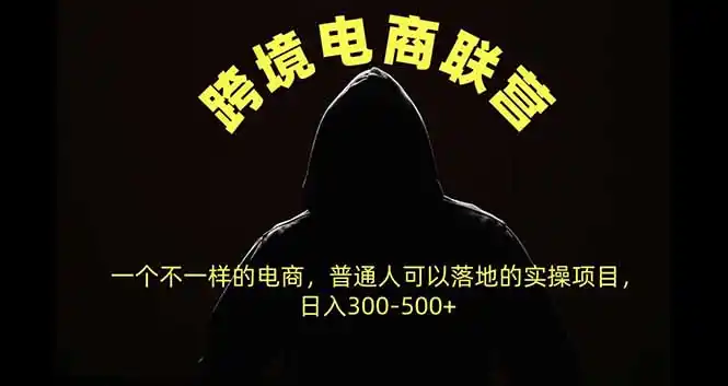 跨境电商联营,一个不一样的电商,普通人可操作日入300-500+-项目资源网