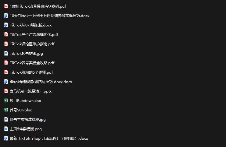 2026TikTok海外掘金实战课——养号SOP+爆款公式+选品测款+广告投流+Shop开店,跑通海外运营全链路-项目资源网