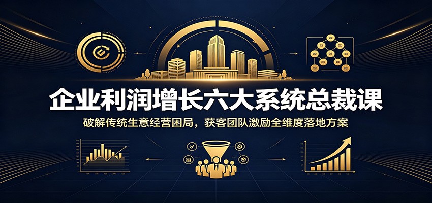 企业利润增长六大系统总裁课：破解传统生意经营困局，获客团队激励全维度落地方案-项目资源网