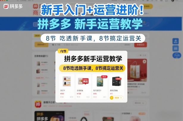 新手入门+运营进阶！拼多多新手运营教学，8节吃透新手课，8节搞定运营关-项目资源网