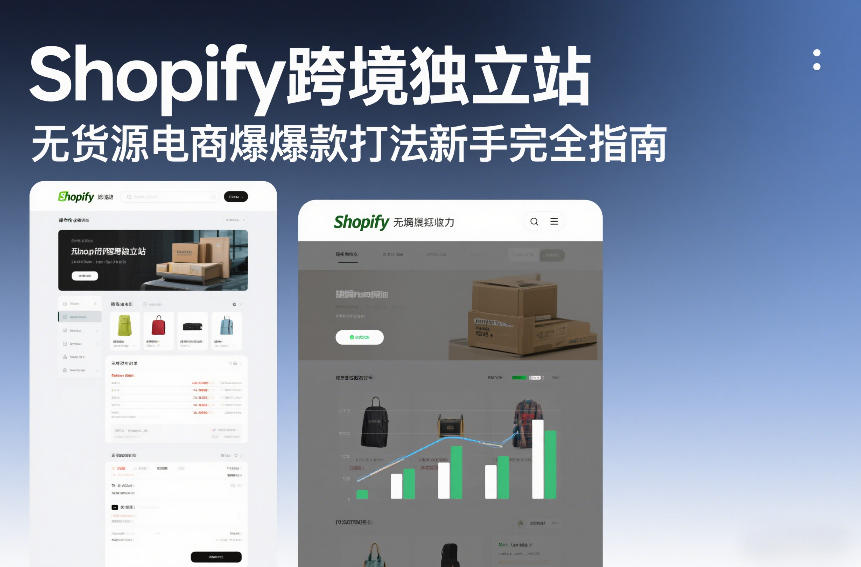 Shopify跨境独立站无货源电商爆款打法新手完全指南-项目资源网