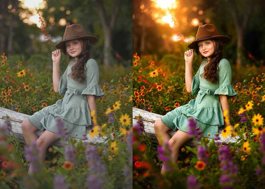 大师级GTG出品-老友记系列AI自适应预设The Friends Preset Collection-项目资源网