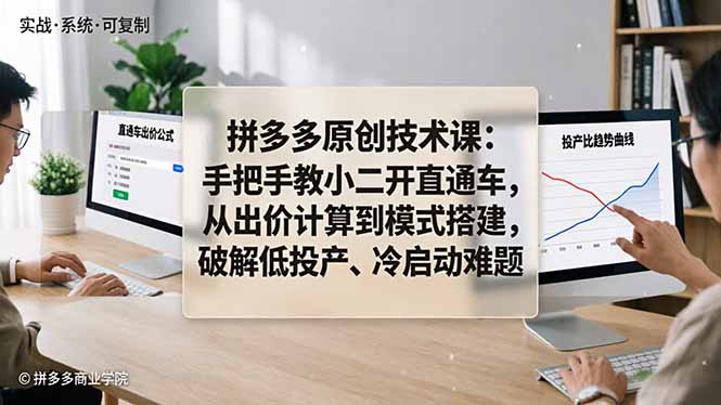 拼多多原创技术课:手把手教小二开直通车,从出价计算到模式搭建,破解低投产、冷启动难题-项目资源网