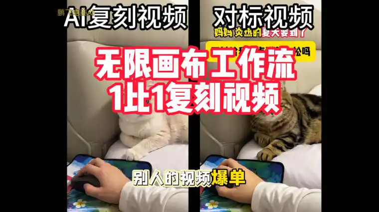 宠物带货视频复刻，无限画布工作流1比1，不用拍摄、不用布景、不用真人出镜，几分钟就能做出一条专业带货视频-项目资源网