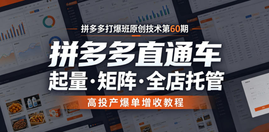 拼多多打爆班原创技术第60期，拼多多直通车，起量・矩阵・全店托管，高投产爆单增收教程-项目资源网