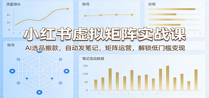 小红书虚拟矩阵实战课：AI选品搬款，自动发笔记，矩阵运营，解锁低门槛变现-项目资源网
