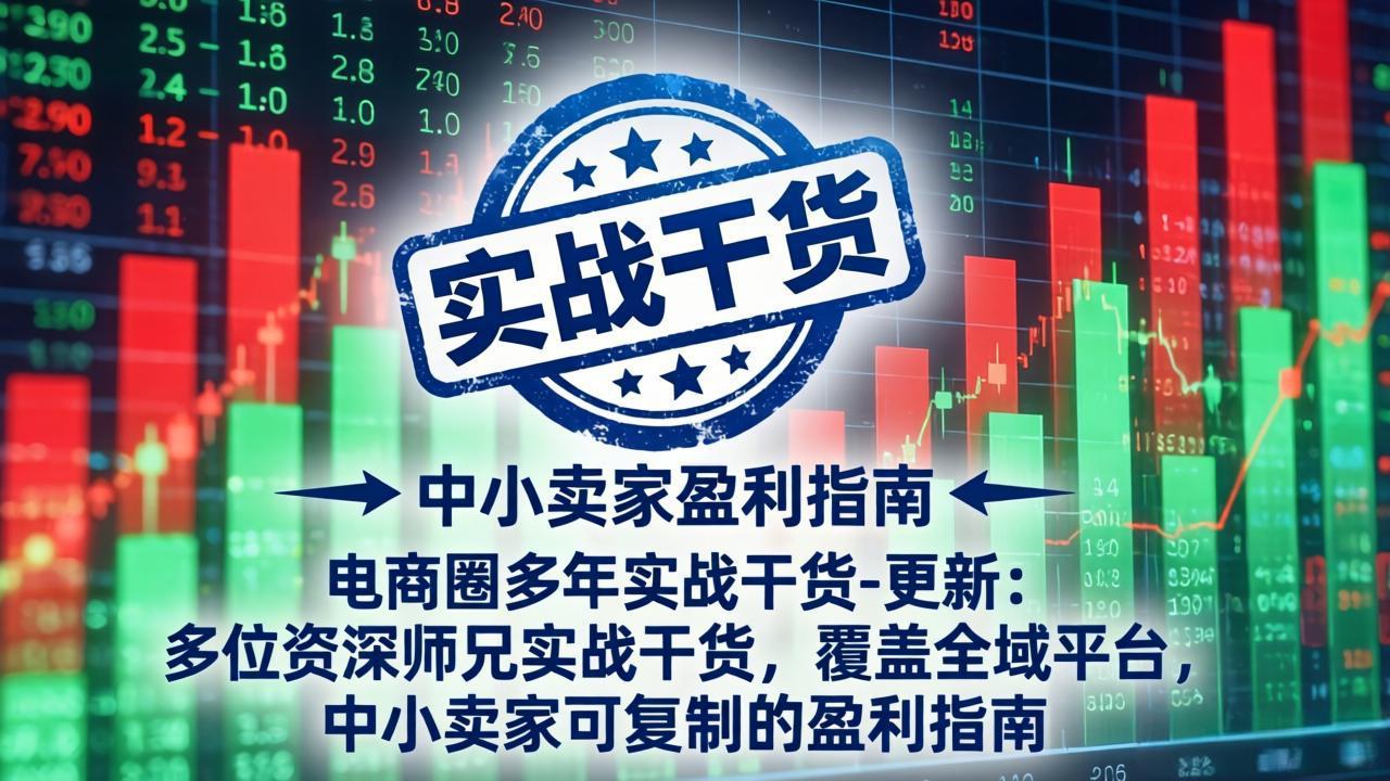 电商圈多年实战干货-更新4月：多位资深师兄实战干货，覆盖全域平台，中小卖家可复制的盈利指南-项目资源网