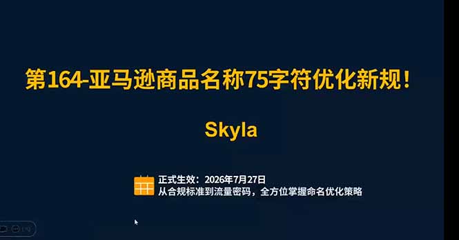 亚马逊跨境实战课：全品类选品逻辑｜SP/SB/SD广告精细化｜新品打爆旺季爆单全套运营教程-项目资源网