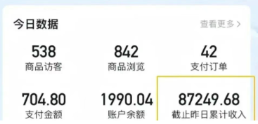 2026新手也能操作的带货玩法，用这个方法零门槛，轻松月入10000+-项目资源网