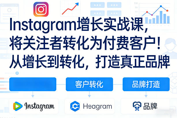 Instagram增长实战课，将关注者转化为付费客户！从增长到转化，打造真正品牌(双语字幕)-项目资源网