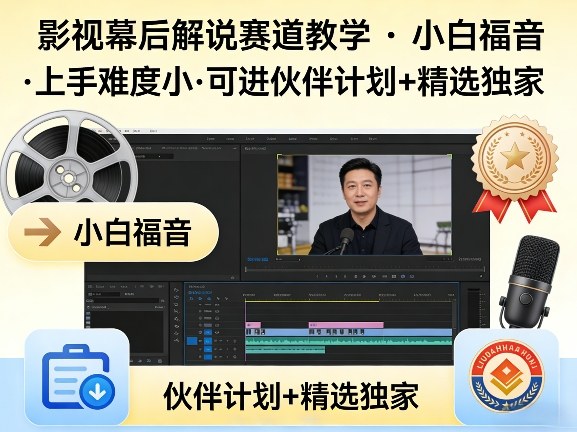 某大佬的影视幕后解说赛道教学，小白福音，上手难度小，可进伙伴计划+精选独家-项目资源网