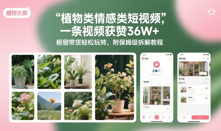 植物类情感类短视频,一条视频获赞36W+,橱窗带货轻松玩转,附保姆级拆解教程-项目资源网