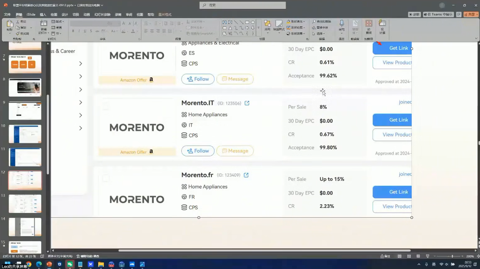 leo老师·谷歌广告投放与联盟营销-项目资源网